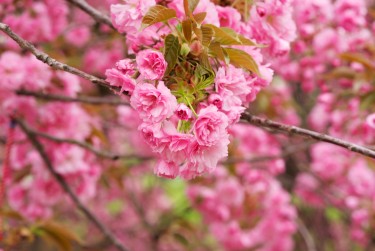 温州苍南8线下个人借款平台一站式服务，轻松解决资金难题
