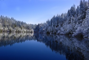 温州苍南8私人借款|个人无抵押借钱|温州苍南8私人短借