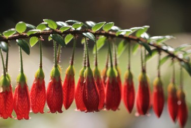 温州苍南8零用贷短借：轻松解决临时资金需求