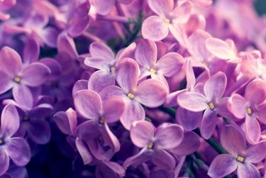 温州苍南8企业急用钱贷款攻略：快速融资解燃眉之急